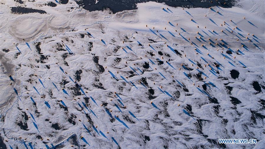 XINHUA-PICTURES OF THE YEAR 2018