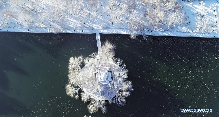 XINHUA-PICTURES OF THE YEAR 2018