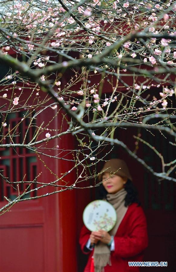 CHINA-FUZHOU-LINYANG TEMPLE-PLUM BLOSSOM (CN)