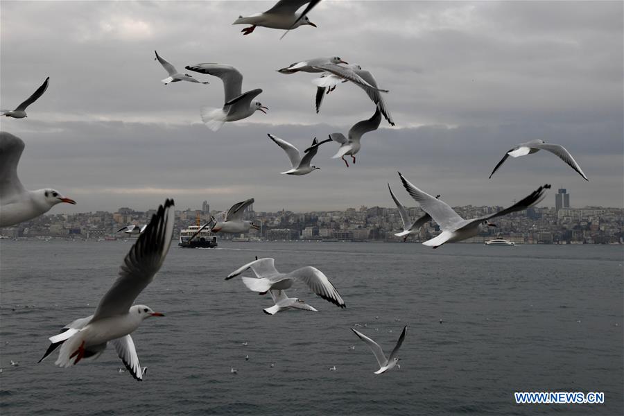 TURKEY-BOSPHORUS STRAIT-SCENERY