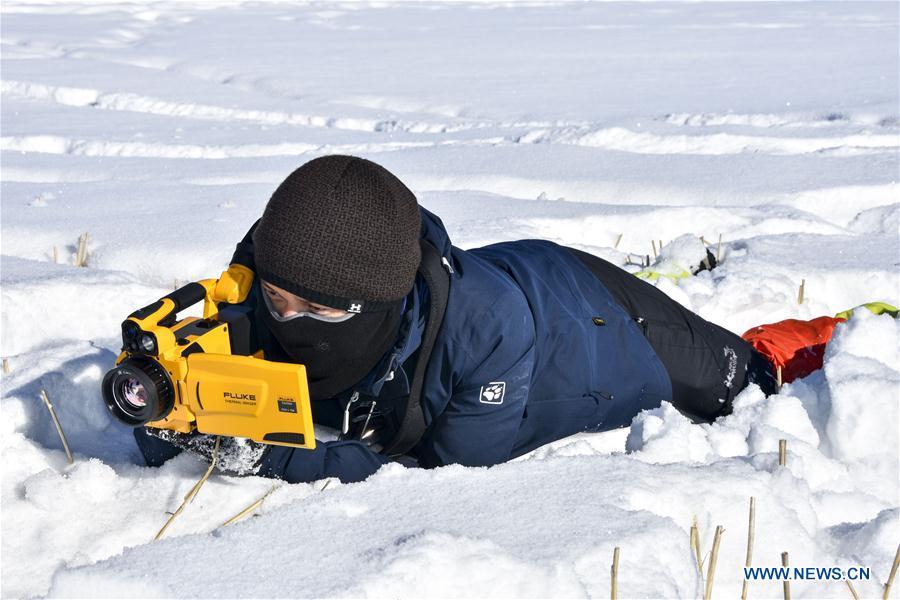 CHINA-XINJIANG-SNOW COVER-RESEARCH (CN)