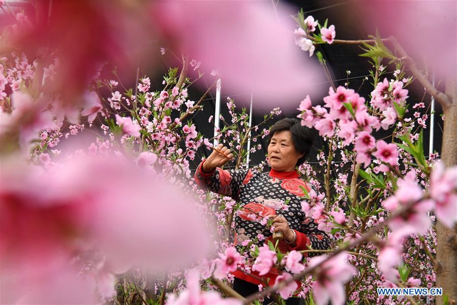 #CHINA-SPRING-FARMING (CN)