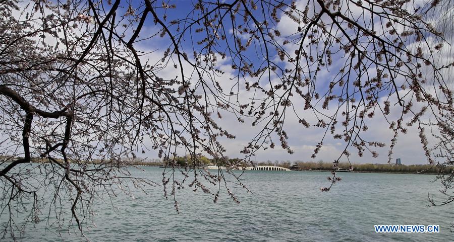 #CHINA-BEIJING-SUMMER PALACE-SCENERY (CN)