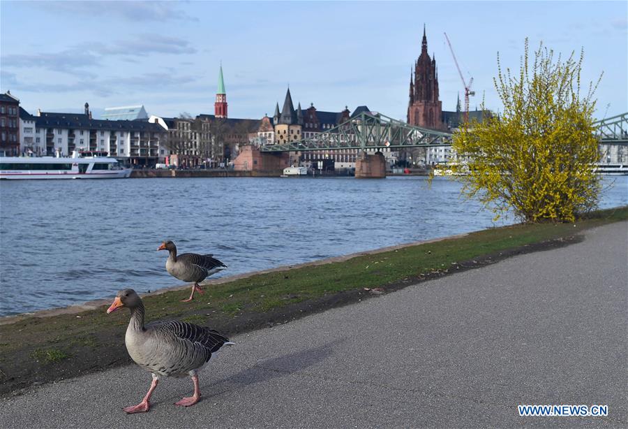 GERMANY-FRANKFURT-SPRING-DAILY LIFE