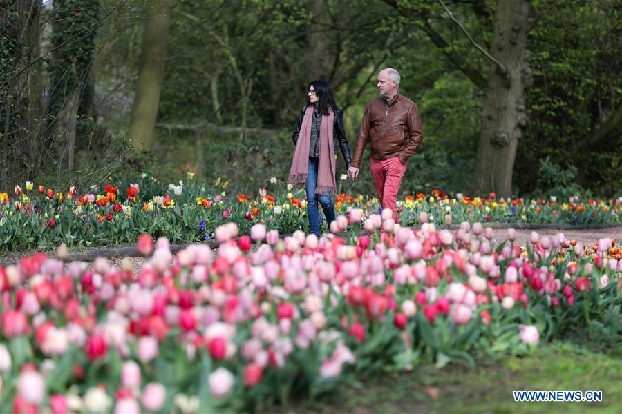 BELGIUM-BRUSSELS-FLOWER SHOW