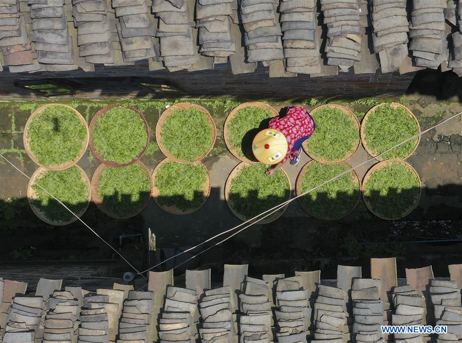 XINHUA PHOTOS OF THE DAY