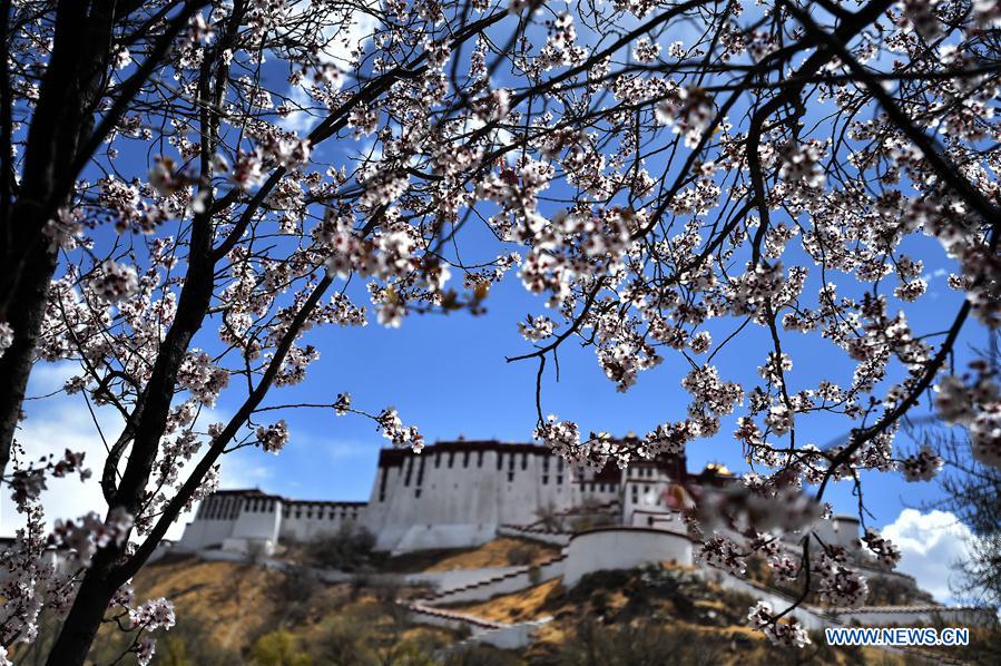 CHINA-LHASA-SPRING (CN)