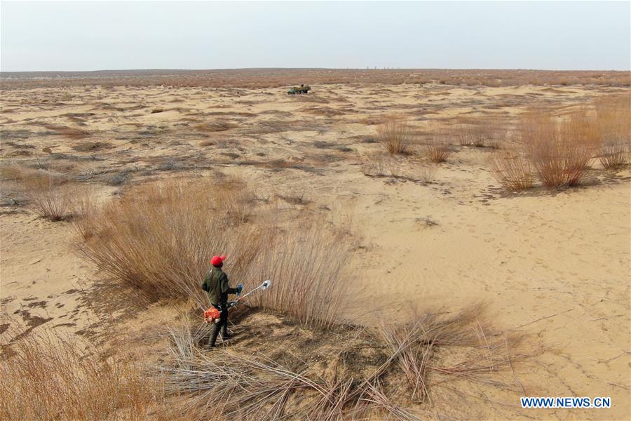 CHINA-INNER MONGOLIA-ORDOS-DESERTIFICATION CURBING (CN)