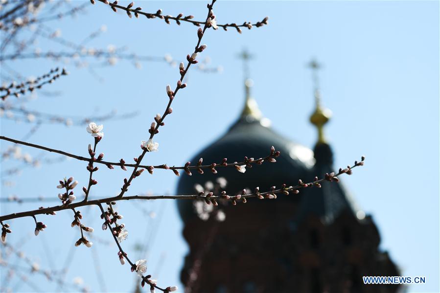 CHINA-HARBIN-SPRING (CN)