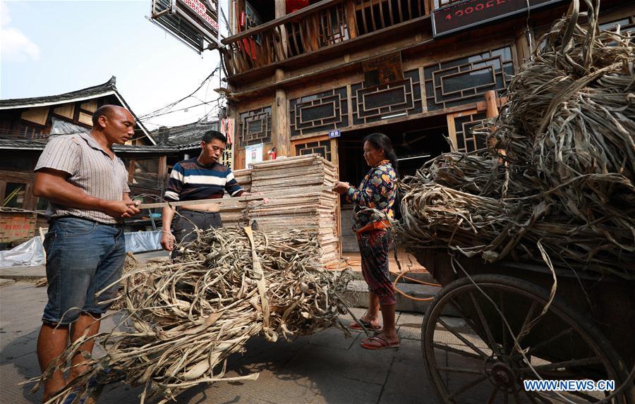 #CHINA-GUIZHOU-TRADITIONAL PAPERMAKING (CN)