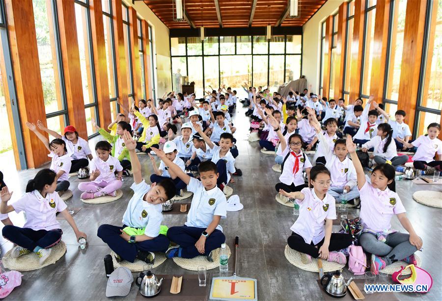 CHINA-CHONGQING-CHILDREN-TEA (CN)