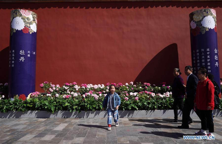 CHINA-BEIJING-PEONY FLOWER (CN)