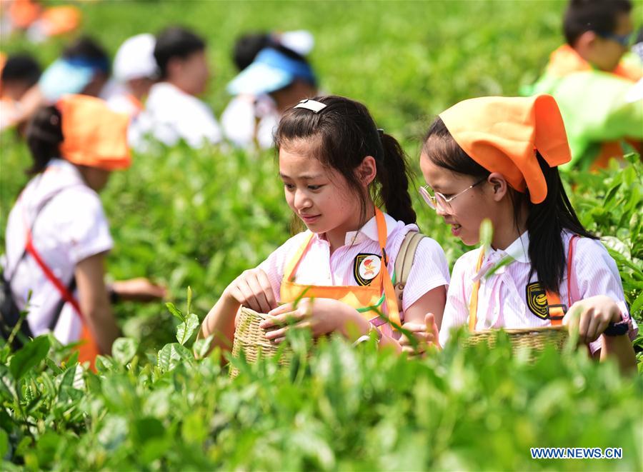 CHINA-CHONGQING-TEA BUSINESS (CN)