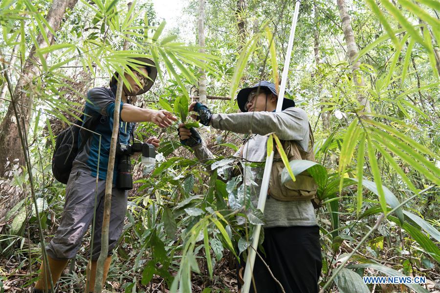 MYANMAR-TAMANTHI-CHINA-JOINT FIELD EXPEDITION