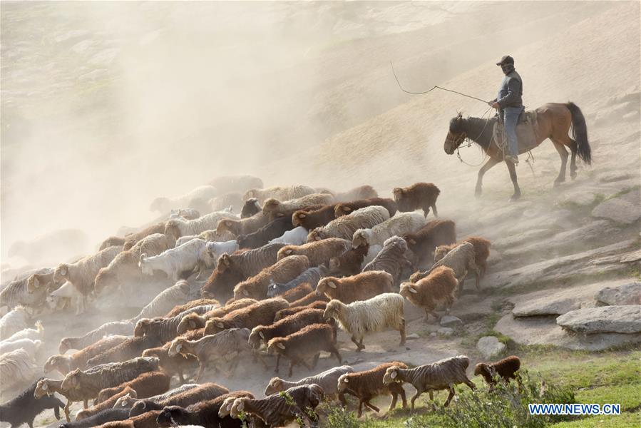 CHINA-XINJIANG-FUHAI-HERDSMEN-SUMMER PASTURE (CN)