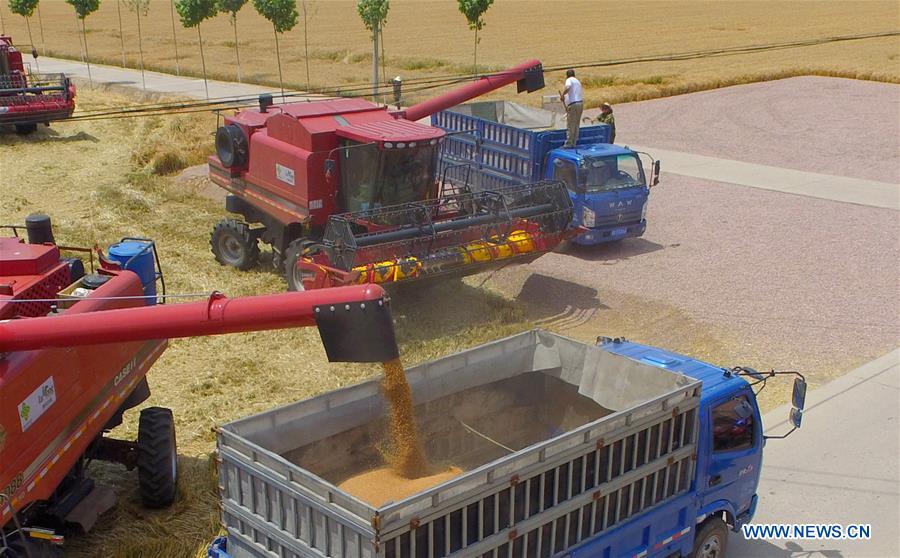 CHINA-HEBEI-NANHE-WHEAT-HARVEST (CN)