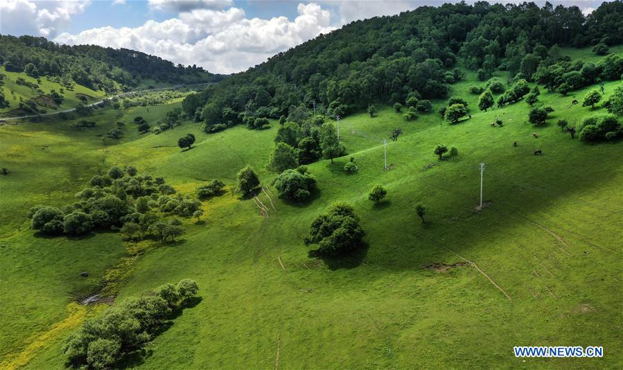 CHINA-SHAANXI-BAOJI-GUANSHAN GRASSLAND (CN)