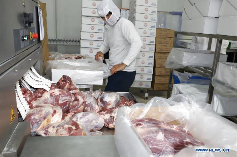 PANAMA-LAS TABLAS-CHINA-BEEF-EXPORT