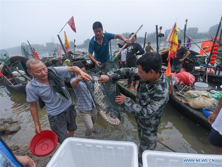 CHINA-ZHEJIANG-HANGZHOU-FISHERY-HARVEST (CN)