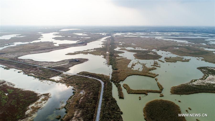 CHINA-MIGRATORY BIRD SANCTUARIES-UNESCO-WORLD HERITAGE LIST (CN)