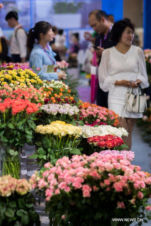 CHINA-KUNMING-FLOWER EXPO (CN)