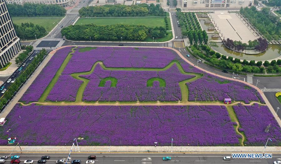 CHINA-TIANJIN-VERBENA FLOWER-TOURISM (CN)