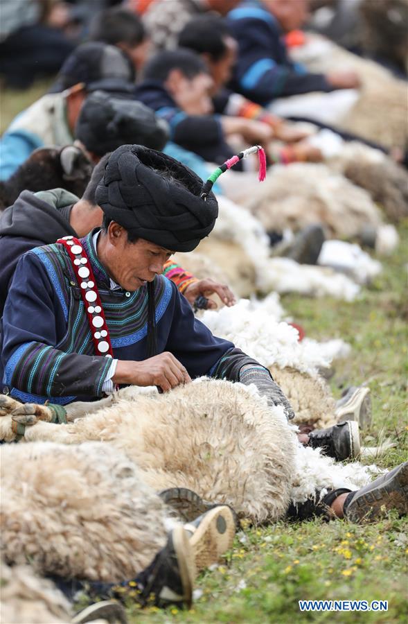 CHINA-SICHUAN-SHEEPSHEARING-FESTIVAL (CN)