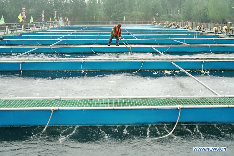 CHINA-HEBEI-QIAN'AN-FISHPOND-TRANSFORMATION (CN)