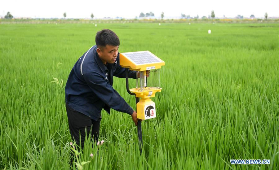 CHINA-JILIN-HUINAN-GREEN AND ORGANIC AGRICULTURE (CN)