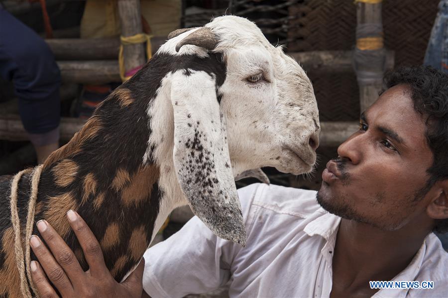 INDIA-KOLKATA-EID AL-ADHA-LIVESTOCK MARKET