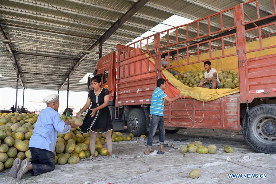 CHINA-XINJIANG-KASHGAR-CANTALOUPE (CN)