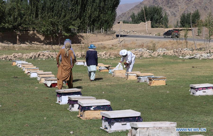 AFGHANISTAN-BAGHLAN-BEE FARM