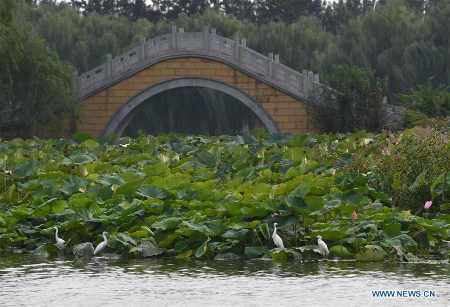 CHINA-BEIJING-GRAND CANAL (CN)