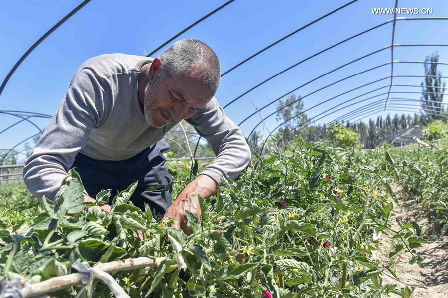 CHINA-XINJIANG-POVERTY ALLEVIATION (CN)