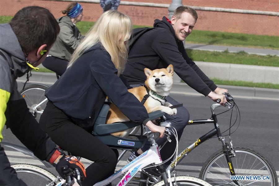 RUSSIA-MOSCOW-CYCLING FESTIVAL