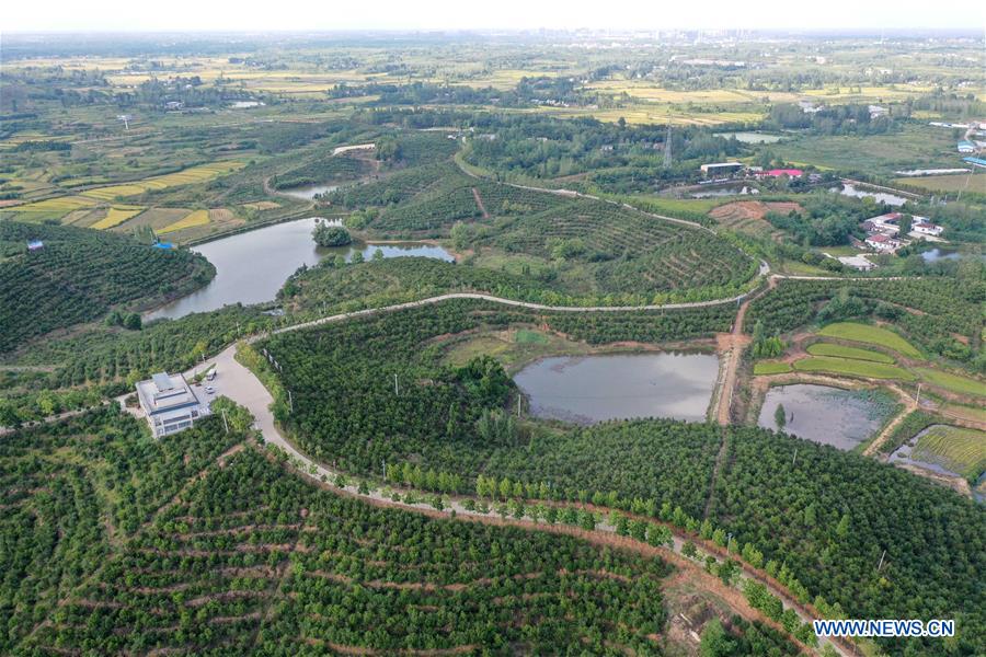 CHINA-HENAN-XINYANG-GREEN DEVELOPMENT (CN)