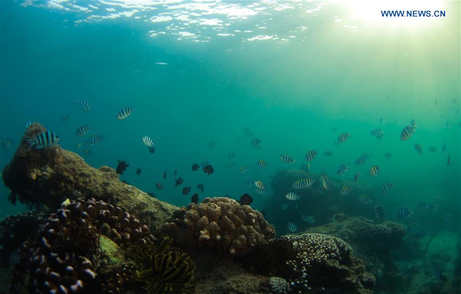 CHINA-HAINAN-LINGSHUI-CORAL REEF (CN)