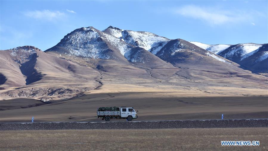 CHINA-TIBET-AUTUMN SCENERY (CN)