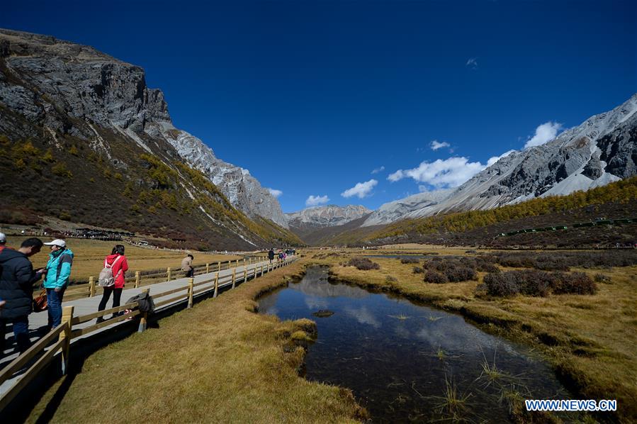 CHINA-SICHUAN-DAOCHENG- AUTUMN SCENERY (CN)