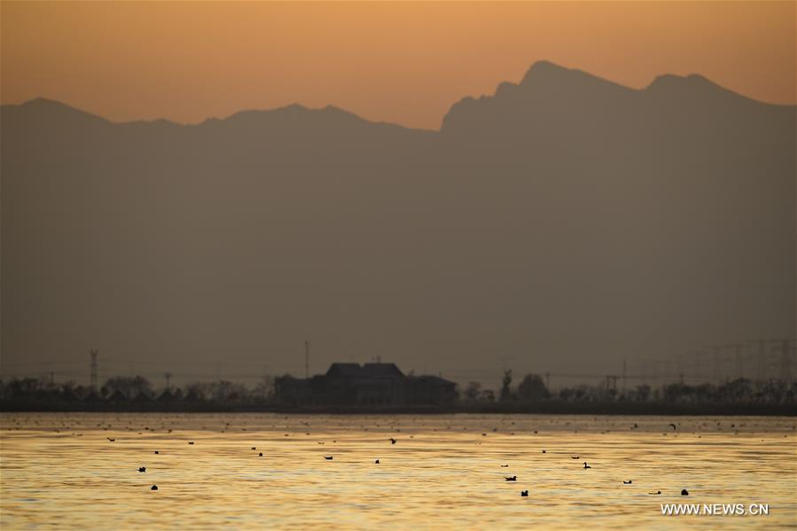 CHINA-NINGXIA-SHAHU LAKE-SCENERY (CN)