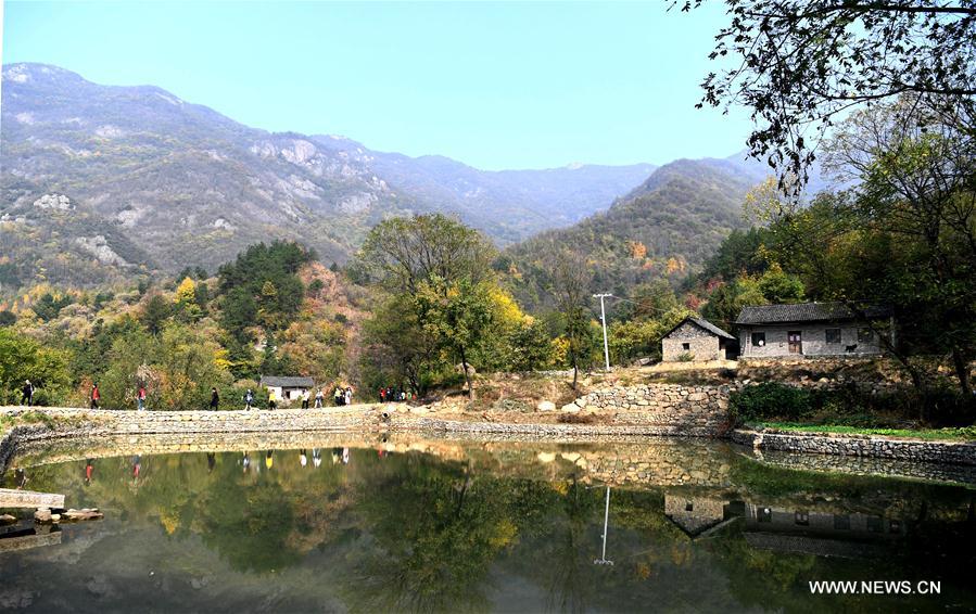 CHINA-HENAN-DABIESHAN MOUNTAIN-AUTUMN SCENERY (CN)