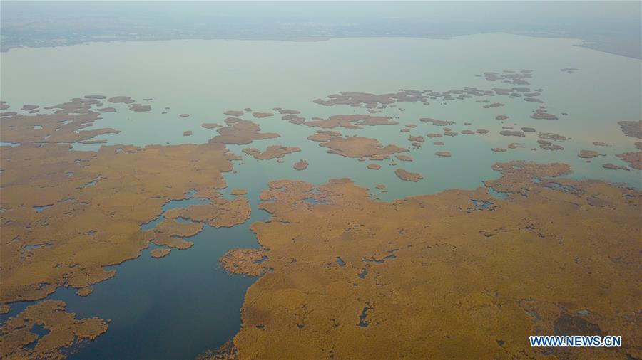 CHINA-INNER MONGOLIA-HOHHOT-HASUHAI WETLAND-AUTUMN SCENERY (CN)