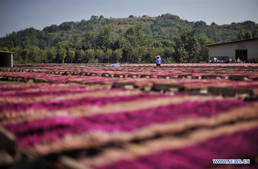 CHINA-FUJIAN-YONGCHUN-INCENSE PRODUCTION (CN)