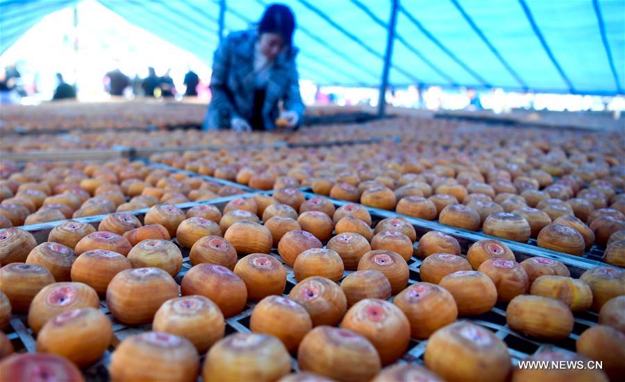 CHINA-GUANGXI-PINGLE-PERSIMMON (CN)