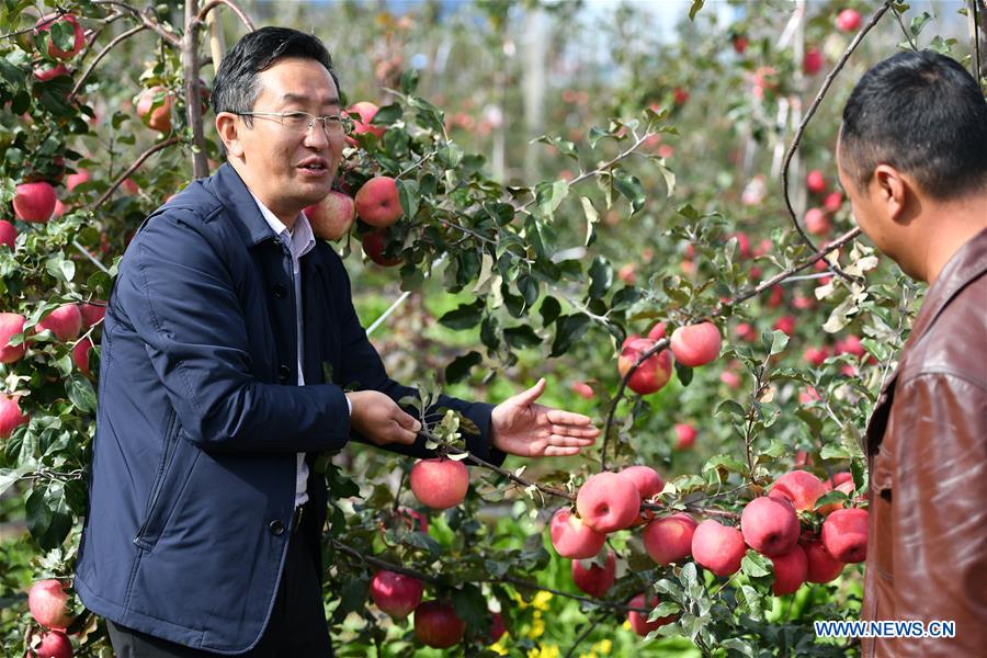 (InTibet) CHINA-TIBET-NYINGCHI-APPLE CULTIVATION PROFESSOR (CN) 