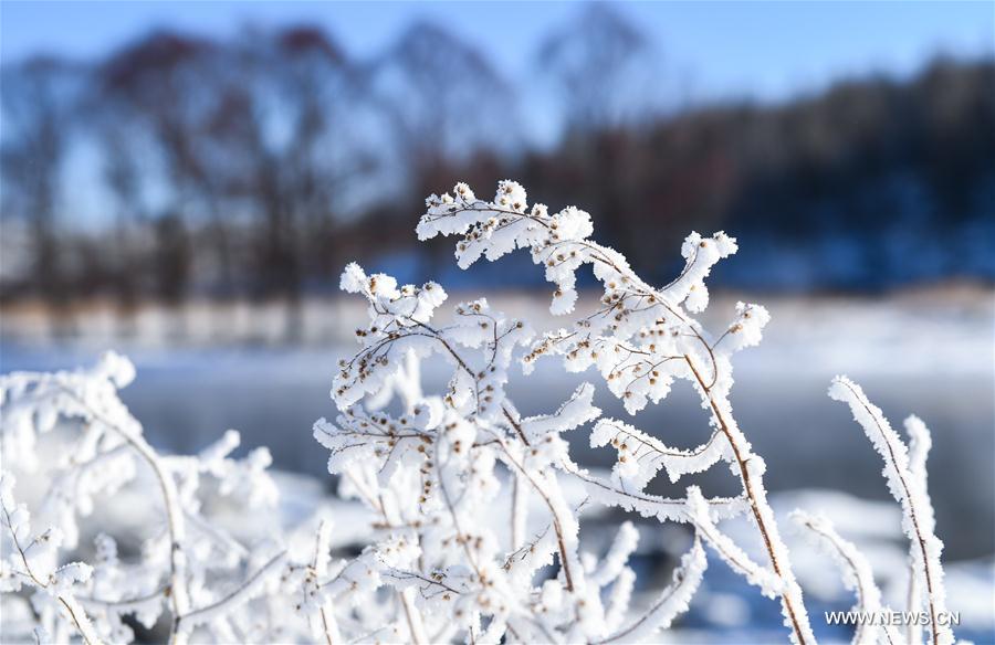 CHINA-INNER MONGOLIA-ARXAN-HALHA RIVER-WINTER SCENERY (CN)