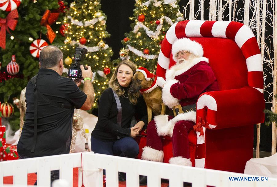 CANADA-TORONTO-CHRISTMAS PET SHOW