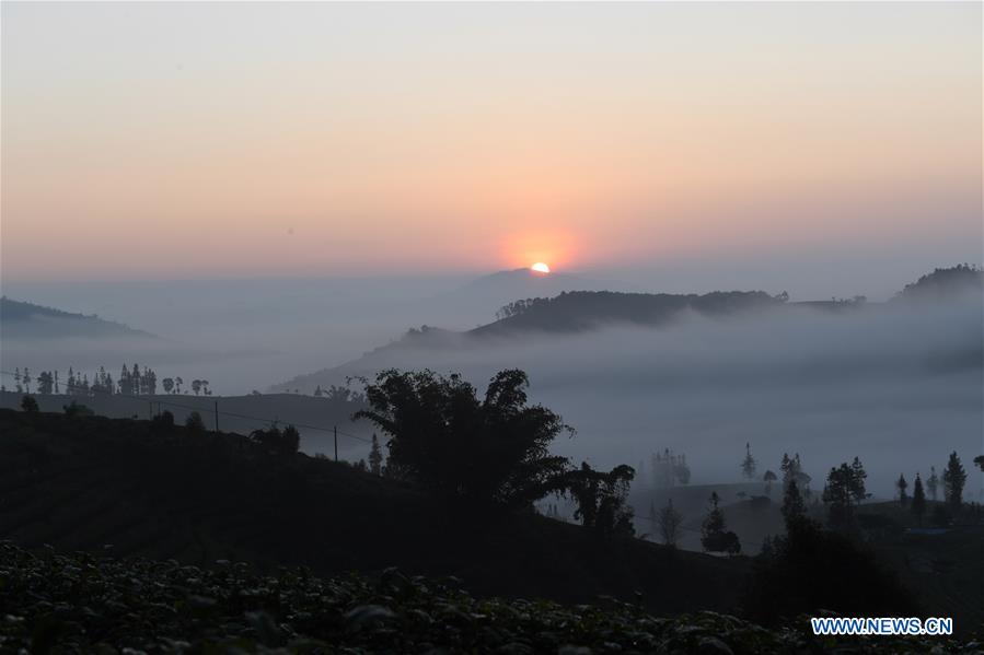 CHINA-YUNNAN-PU'ER-TEA GARDEN-CLOUDS (CN)