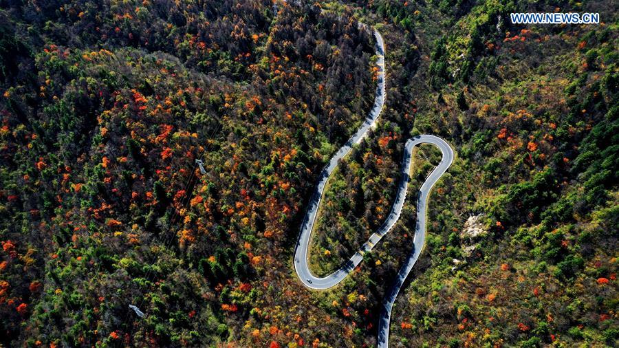 CHINA-SHAANXI-QINLING MOUNTAINS-SCENERY (CN)