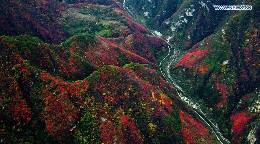 CHINA-SHAANXI-QINLING MOUNTAINS-SCENERY (CN)